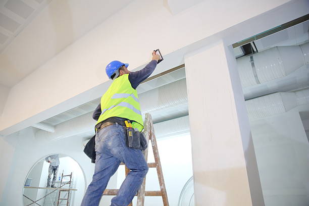 Best Asbestos and Lead Testing During Mold Inspection  in Seymour, TX